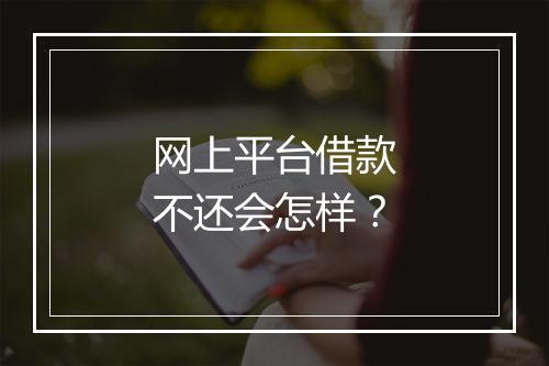 网上平台借款不还会怎样？