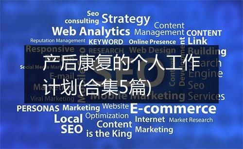 产后康复的个人工作计划(合集5篇)