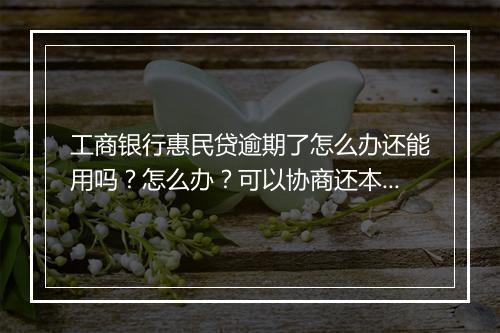 工商银行惠民贷逾期了怎么办还能用吗？怎么办？可以协商还本金吗？