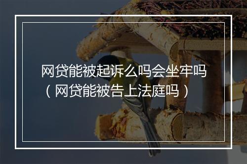 网贷能被起诉么吗会坐牢吗（网贷能被告上法庭吗）