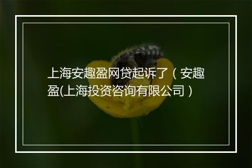 上海安趣盈网贷起诉了（安趣盈(上海投资咨询有限公司）