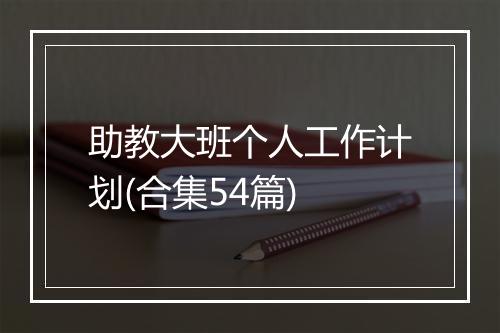 助教大班个人工作计划(合集54篇)