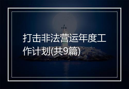 打击非法营运年度工作计划(共9篇)