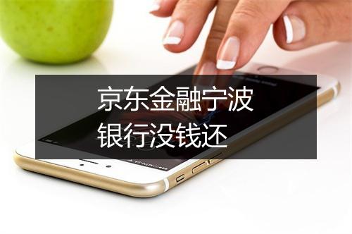 京东金融宁波银行没钱还