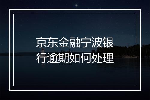 京东金融宁波银行逾期如何处理