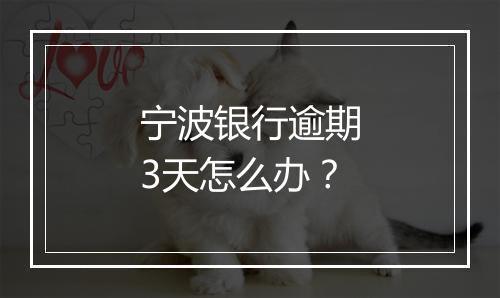 宁波银行逾期3天怎么办？