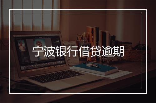 宁波银行借贷逾期