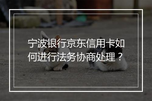 宁波银行京东信用卡如何进行法务协商处理？