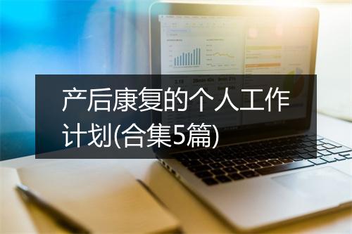 产后康复的个人工作计划(合集5篇)