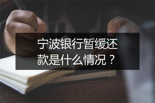 宁波银行暂缓还款是什么情况？