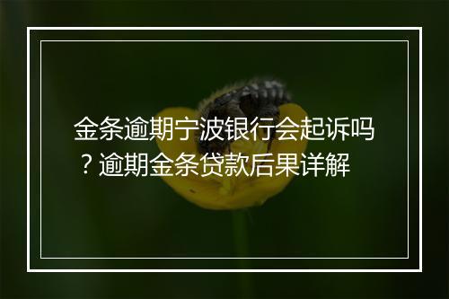 金条逾期宁波银行会起诉吗？逾期金条贷款后果详解