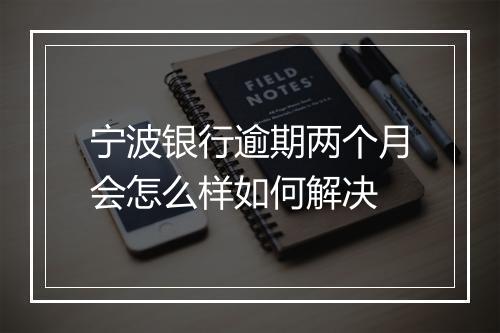 宁波银行逾期两个月会怎么样如何解决