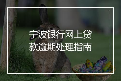 宁波银行网上贷款逾期处理指南