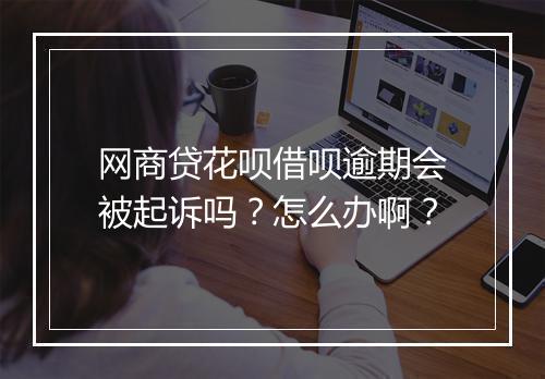 网商贷花呗借呗逾期会被起诉吗？怎么办啊？
