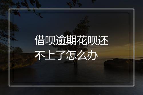 借呗逾期花呗还不上了怎么办