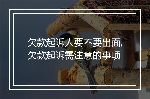欠款起诉人要不要出面,欠款起诉需注意的事项