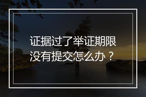 证据过了举证期限没有提交怎么办？