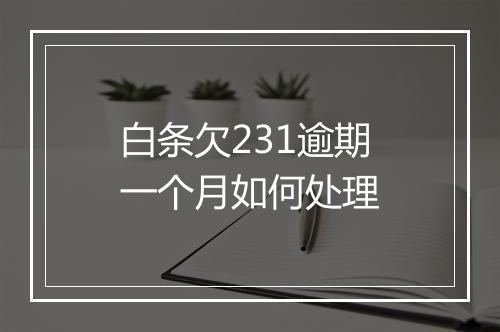 白条欠231逾期一个月如何处理