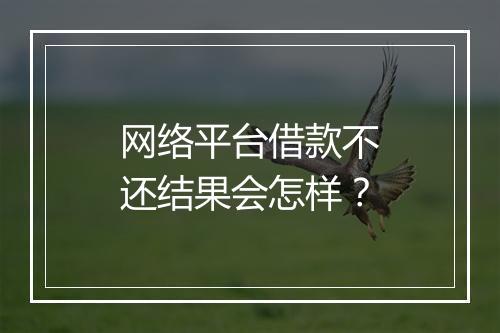 网络平台借款不还结果会怎样？