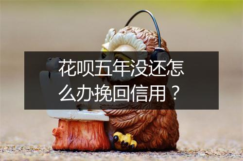 花呗五年没还怎么办挽回信用？