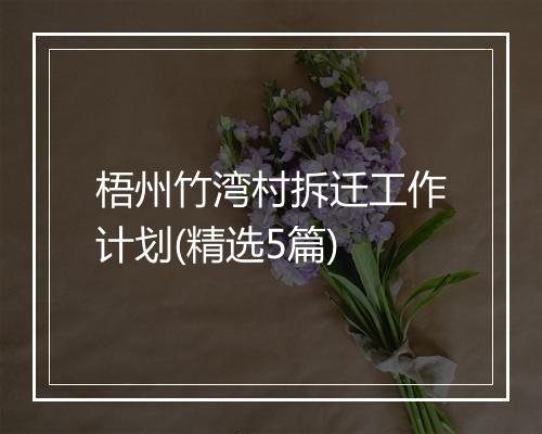 梧州竹湾村拆迁工作计划(精选5篇)