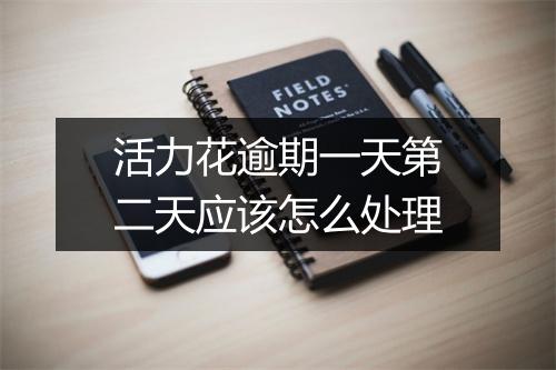 活力花逾期一天第二天应该怎么处理