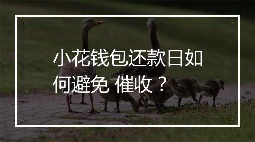 小花钱包还款日如何避免 催收？