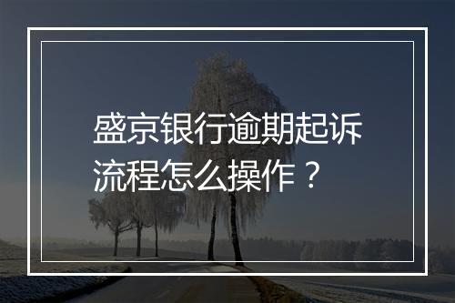 盛京银行逾期起诉流程怎么操作？