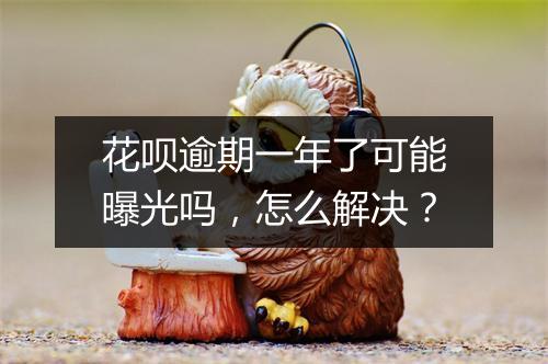 花呗逾期一年了可能曝光吗，怎么解决？