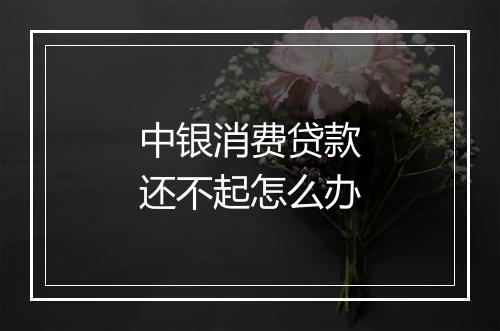 中银消费贷款还不起怎么办
