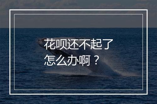 花呗还不起了怎么办啊？