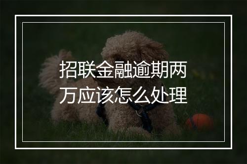 招联金融逾期两万应该怎么处理
