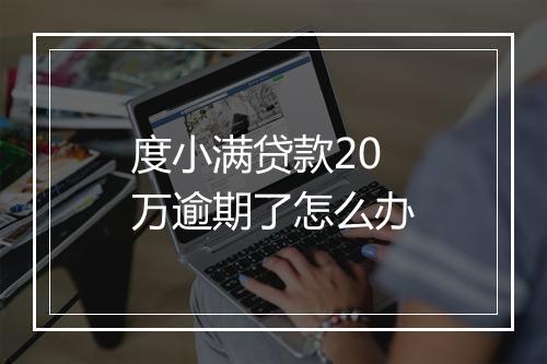 度小满贷款20万逾期了怎么办