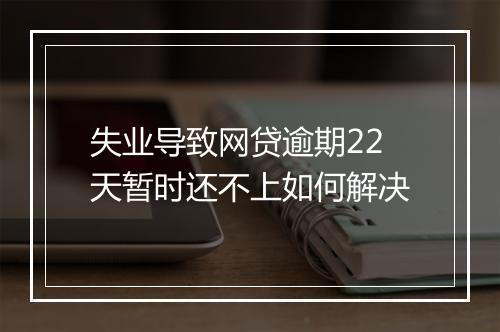 失业导致网贷逾期22天暂时还不上如何解决