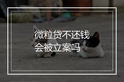 微粒贷不还钱会被立案吗