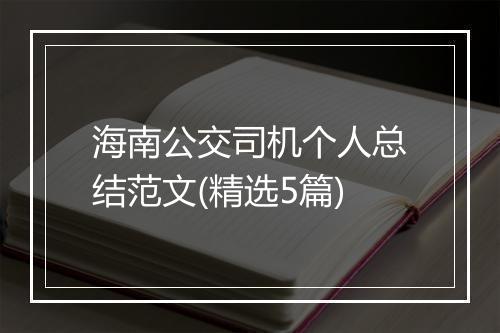 海南公交司机个人总结范文(精选5篇)