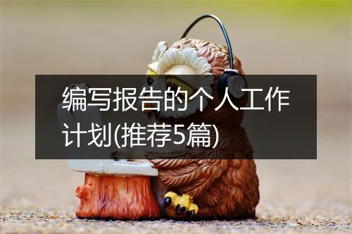 编写报告的个人工作计划(推荐5篇)