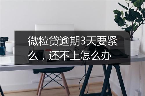 微粒贷逾期3天要紧么，还不上怎么办