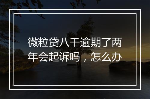 微粒贷八千逾期了两年会起诉吗，怎么办