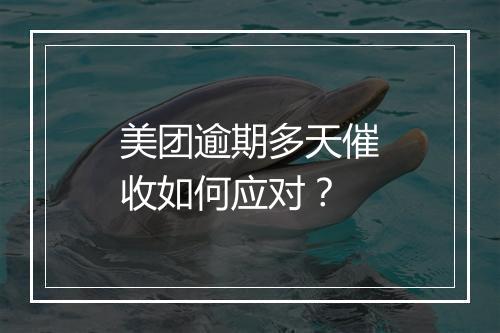 美团逾期多天催收如何应对？