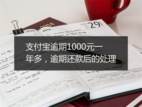 支付宝逾期1000元一年多，逾期还款后的处理