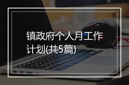 镇政府个人月工作计划(共5篇)