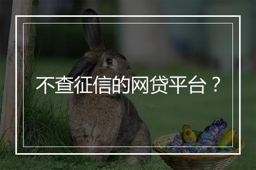 不查征信的网贷平台？