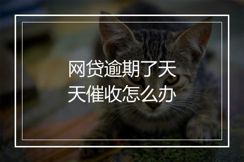 网贷逾期了天天催收怎么办