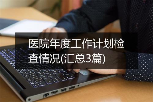 医院年度工作计划检查情况(汇总3篇)