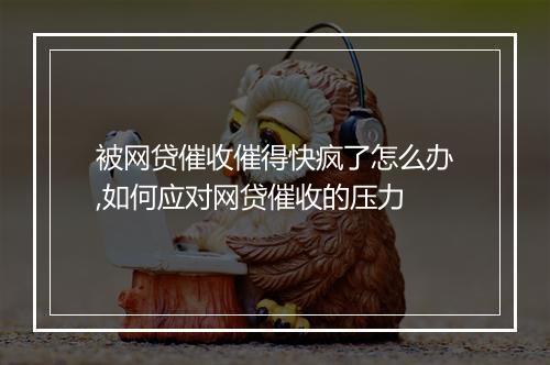 被网贷催收催得快疯了怎么办,如何应对网贷催收的压力