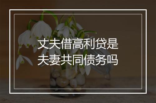 丈夫借高利贷是夫妻共同债务吗