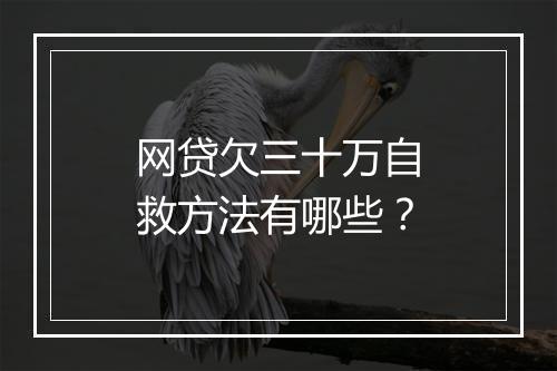 网贷欠三十万自救方法有哪些？
