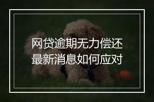 网贷逾期无力偿还最新消息如何应对