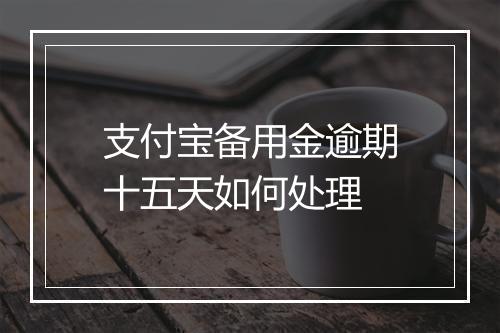 支付宝备用金逾期十五天如何处理